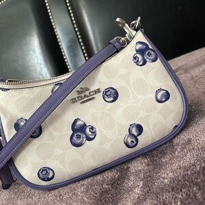 Coach blueberry purse